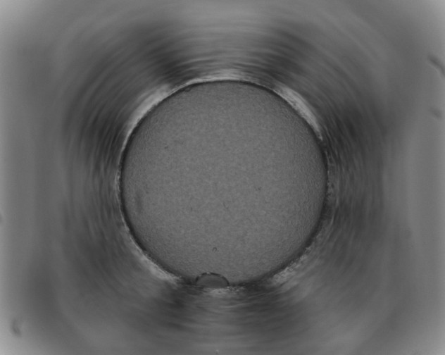 X0000097470805200803141912