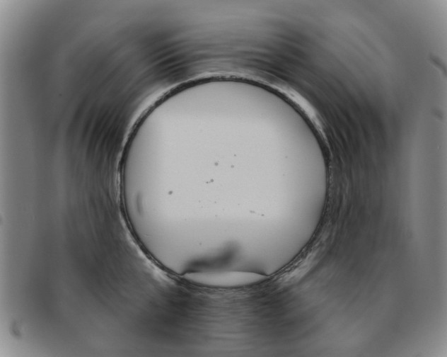X0000097470807200803141912