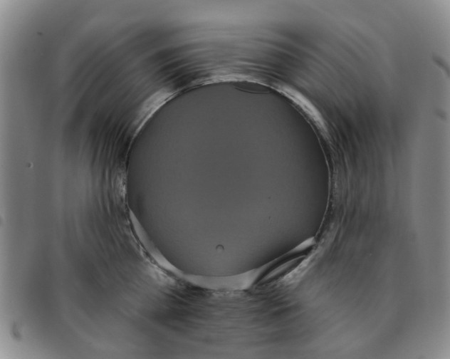 X0000097470809200803141912