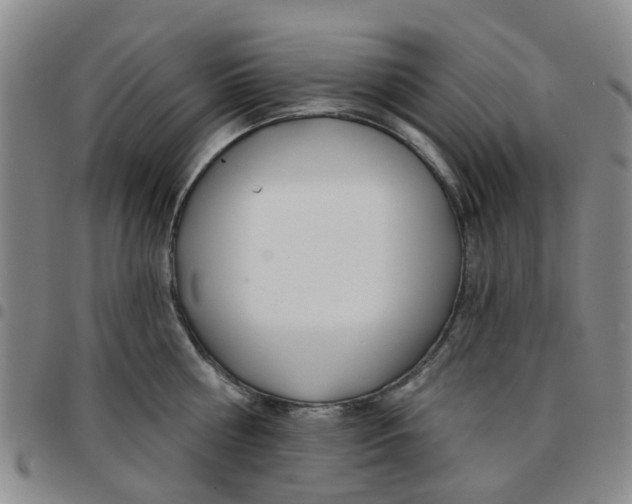 X0000097470810200803141912