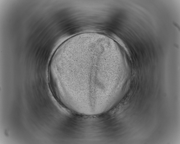 X0000097470811200803141912