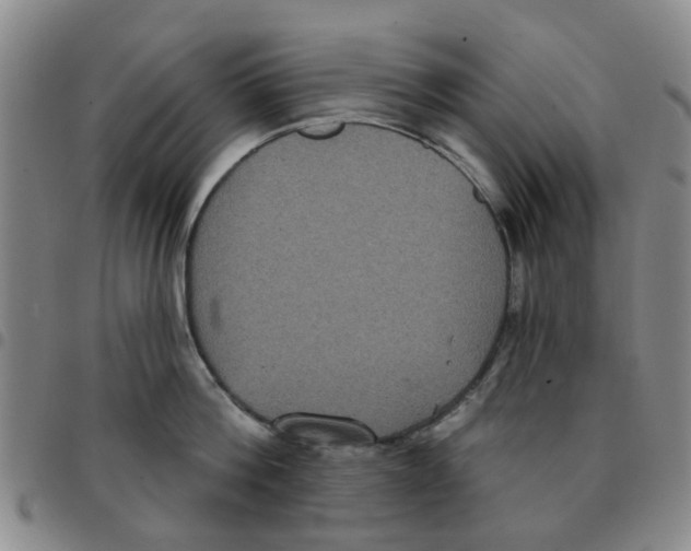 X0000097470812200803141911
