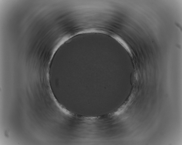 X0000097470813200803141911
