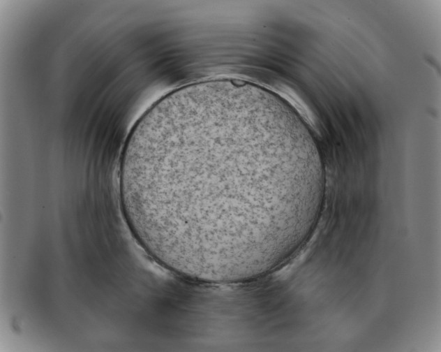 X0000097470814200803141911