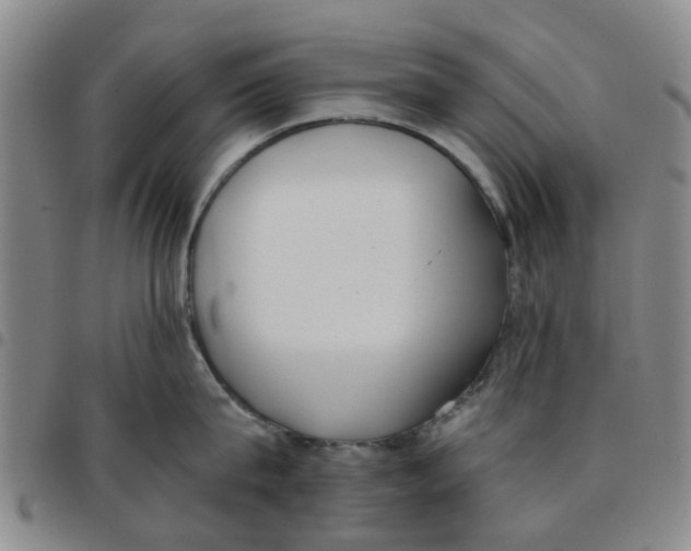 X0000097470815200803141911