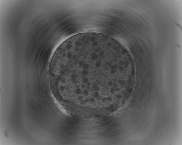 X0000097470816200803141911