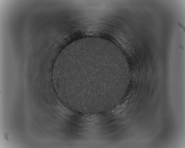 X0000097470817200803141911