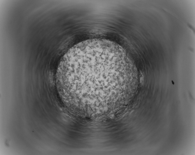 X0000097470819200803141911