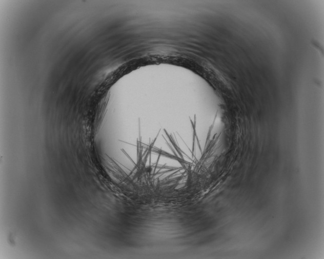 X0000097470822200803141911