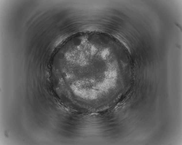 X0000097470823200803141911