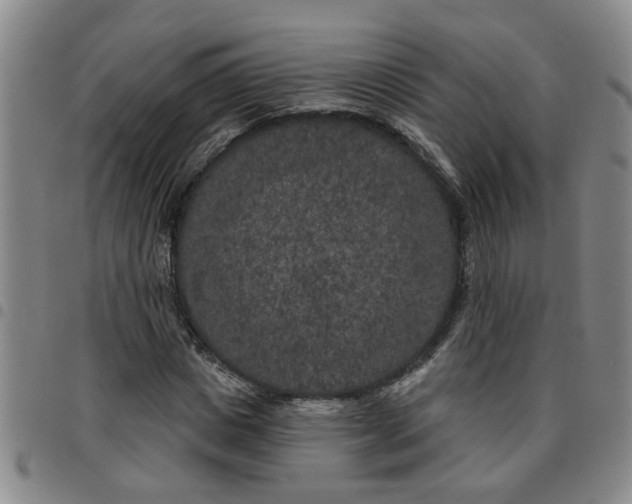 X0000097470825200803141911