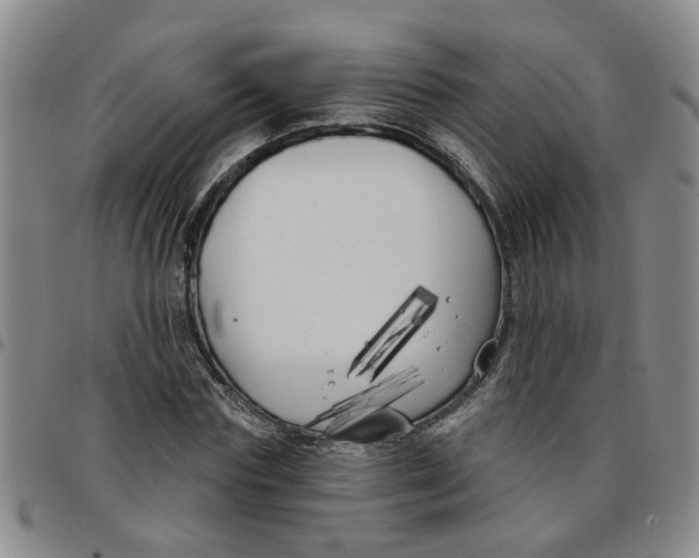 X0000097470827200803141911