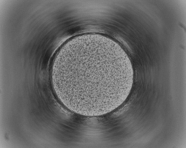 X0000097470828200803141911