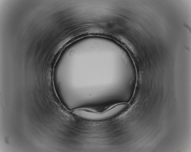 X0000097470829200803141911
