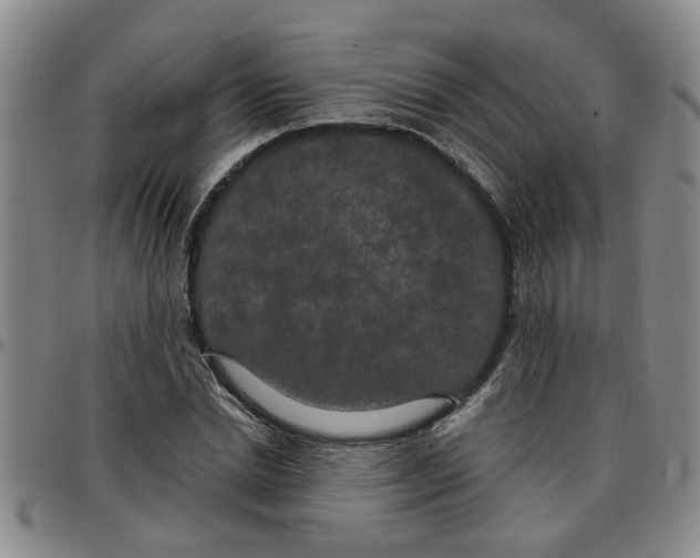 X0000097470830200803141911