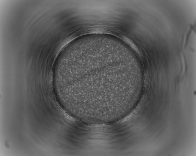 X0000097470831200803141911