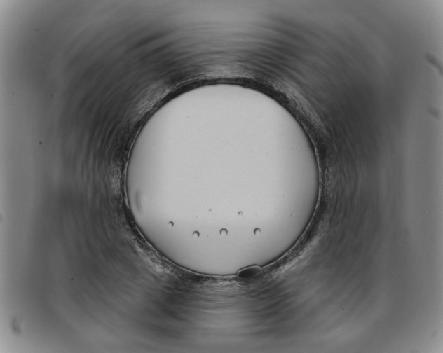 X0000097470833200803141911