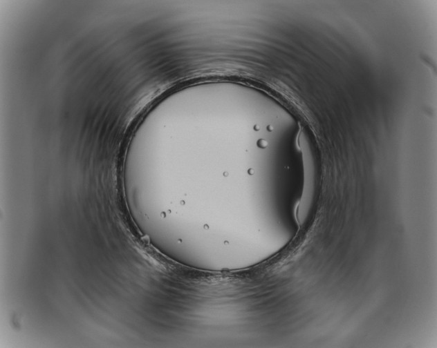 X0000097470834200803141911