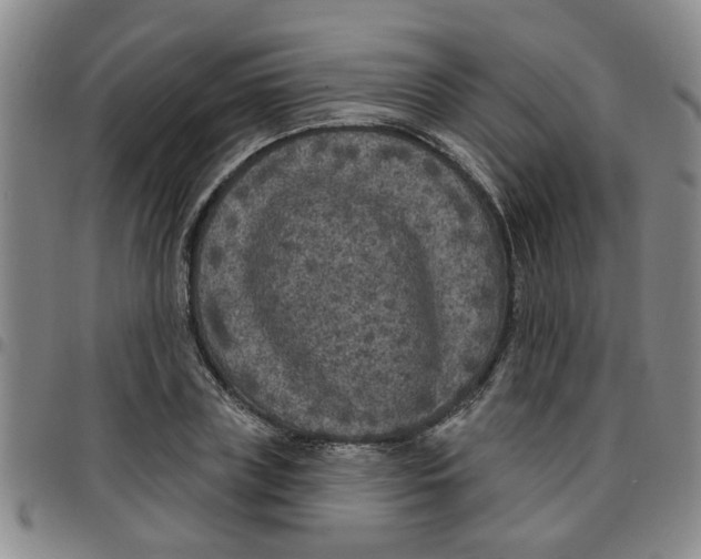 X0000097470835200803141911