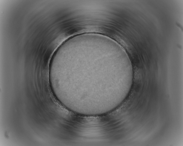 X0000097470836200803141911