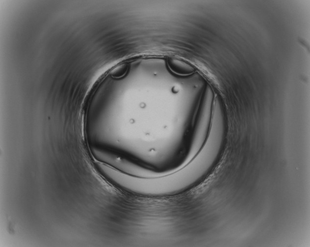 X0000097470838200803141911