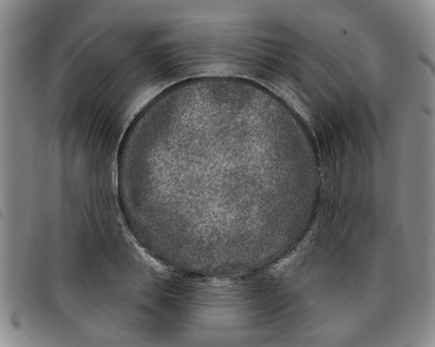 X0000097470839200803141911