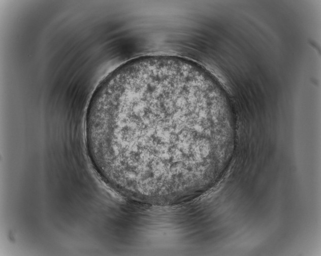 X0000097470840200803141911