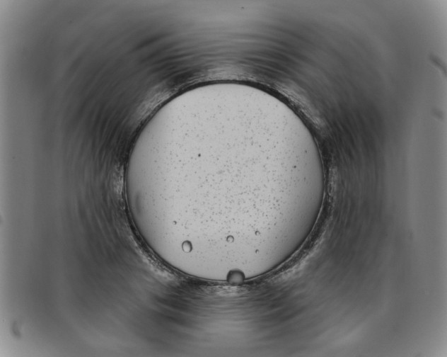 X0000097470841200803141911