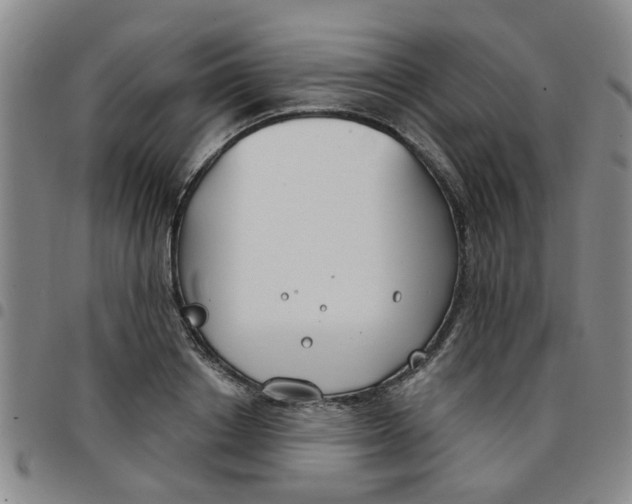 X0000097470842200803141911