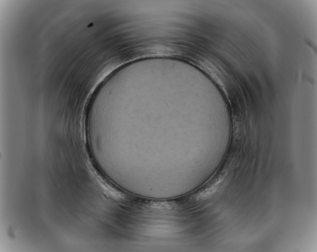 X0000097470843200803141911