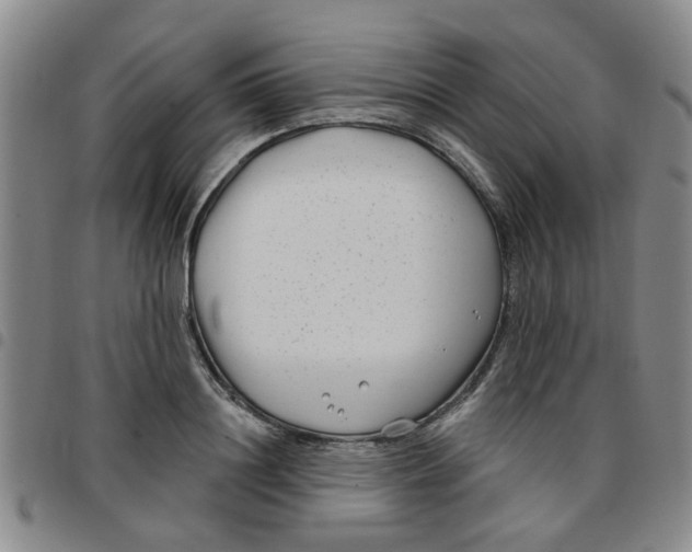 X0000097470844200803141911
