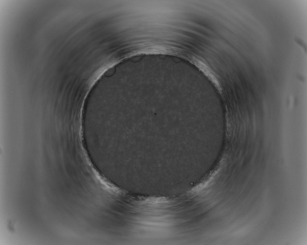 X0000097470845200803141911