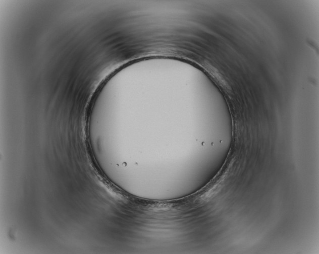 X0000097470846200803141911