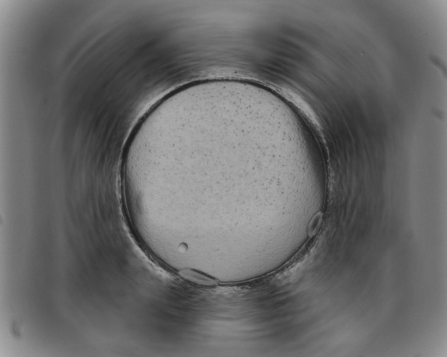 X0000097470847200803141911