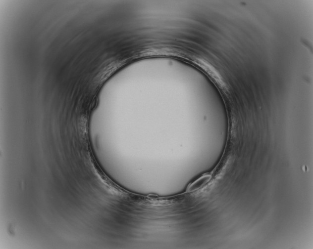X0000097470849200803141911