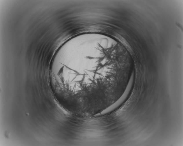 X0000097470850200803141911