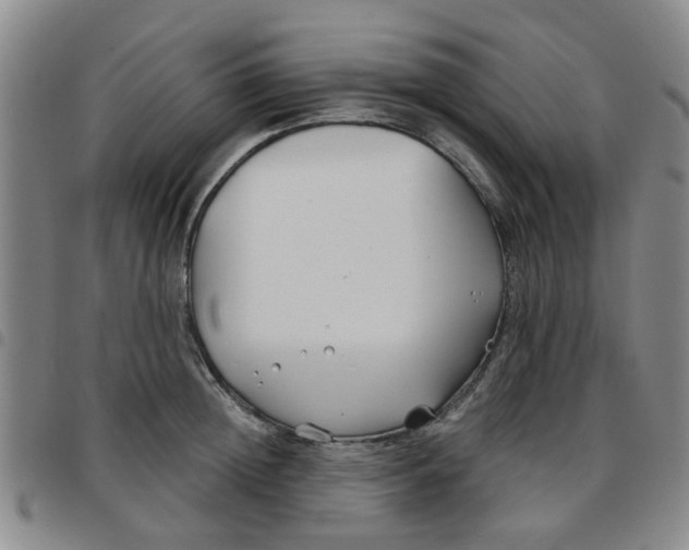 X0000097470852200803141911