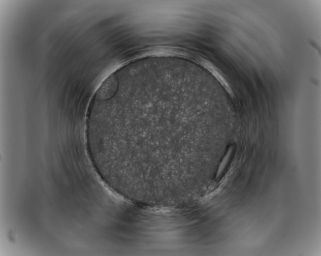X0000097470853200803141911