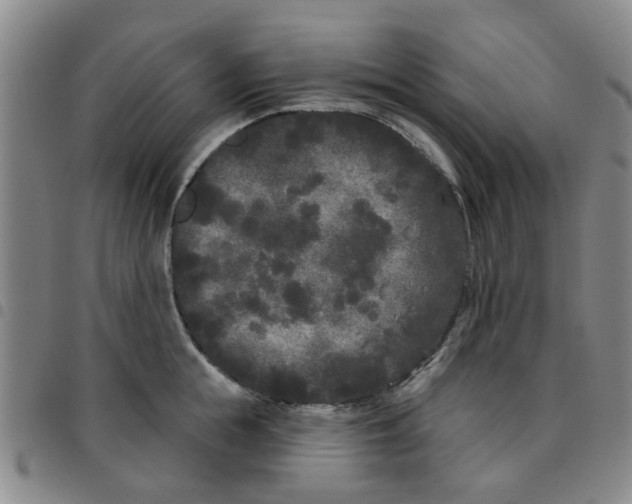 X0000097470855200803141911
