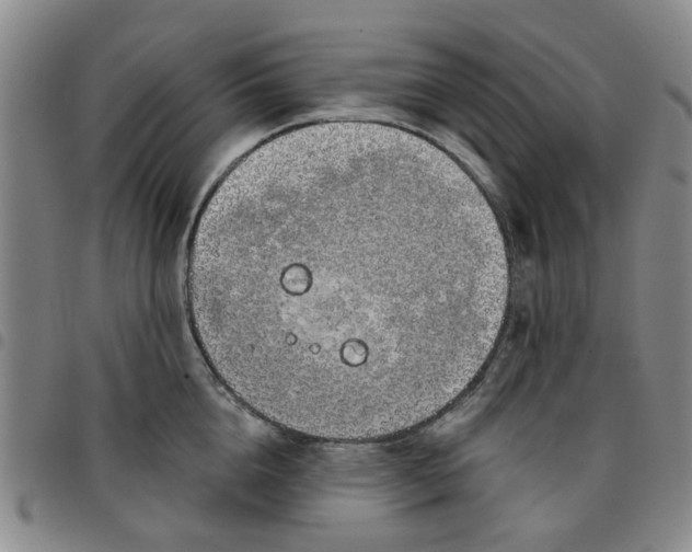 X0000097470856200803141911