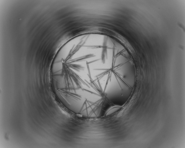 X0000097470858200803141911