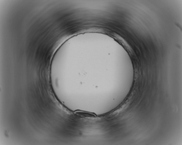X0000097470860200803141911