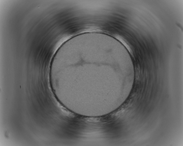 X0000097470861200803141911