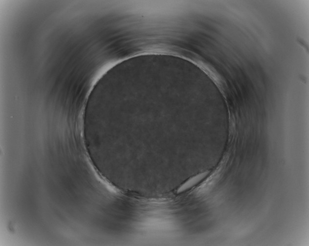 X0000097470862200803141911