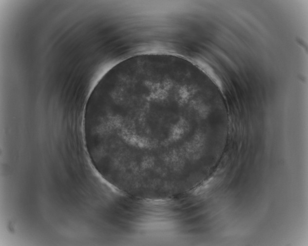 X0000097470863200803141911