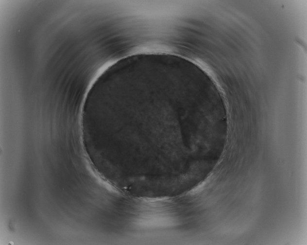 X0000097470864200803141911