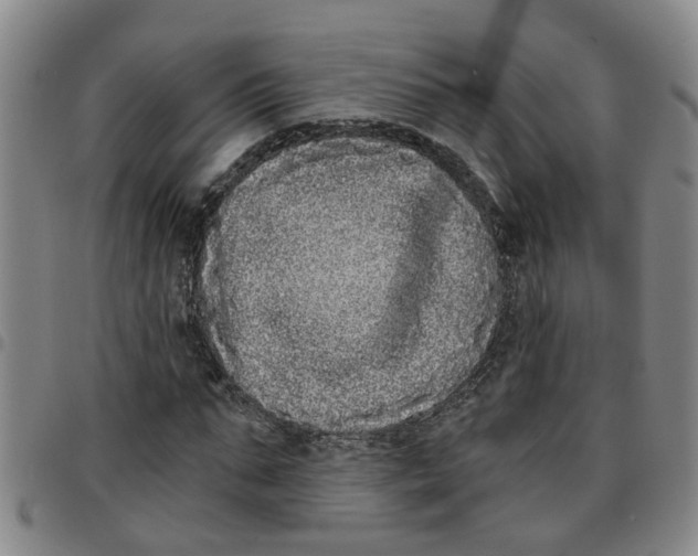 X0000097470871200803141911