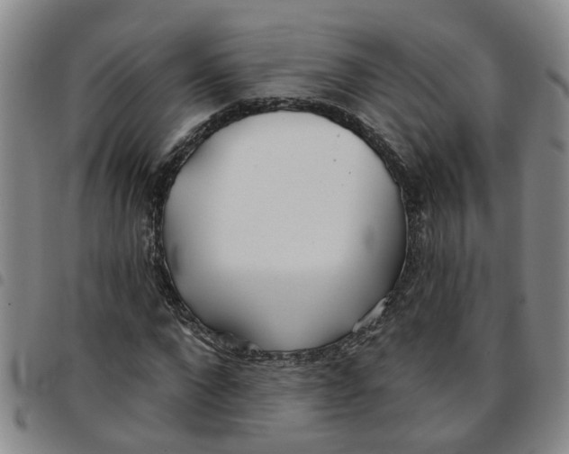 X0000097470872200803141911