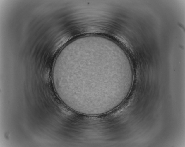 X0000097470873200803141911