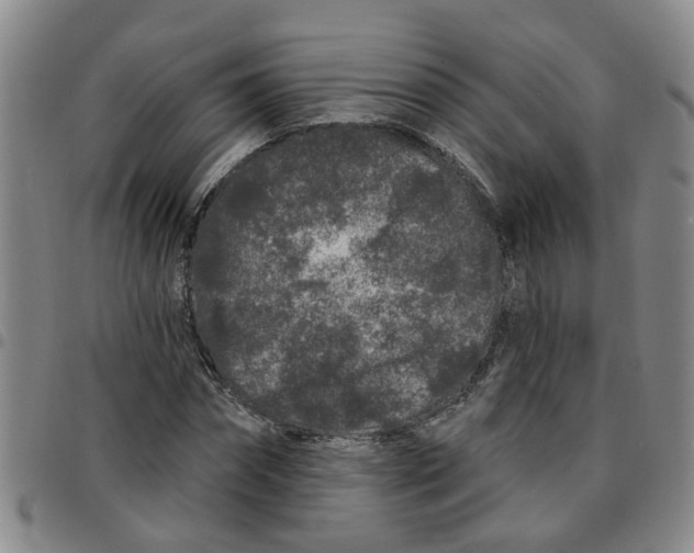 X0000097470874200803141911